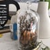 Bath & Body Works PUMPKIN CLOCHE wallflower Plug