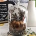 Bath & Body Works PUMPKIN CLOCHE wallflower Plug