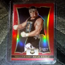 WWE Hollywood hulk Hogan select card 31/99