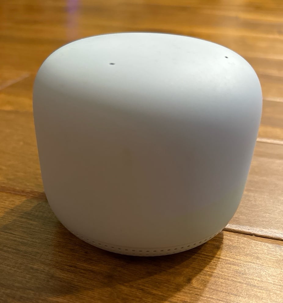 Google Nest Point Snow color