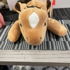 Kids Toys