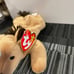 Kids Toys