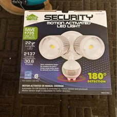 Motion security light