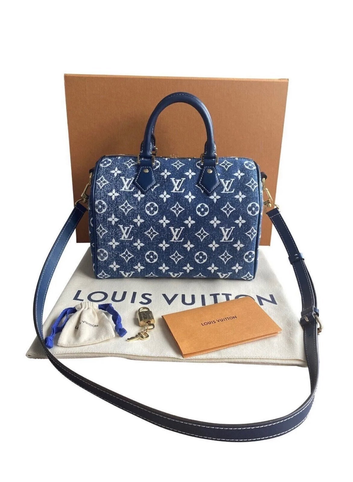 Louis Vuitton Speedy Autres Toilet Purse Monogram Shoulder Bag
