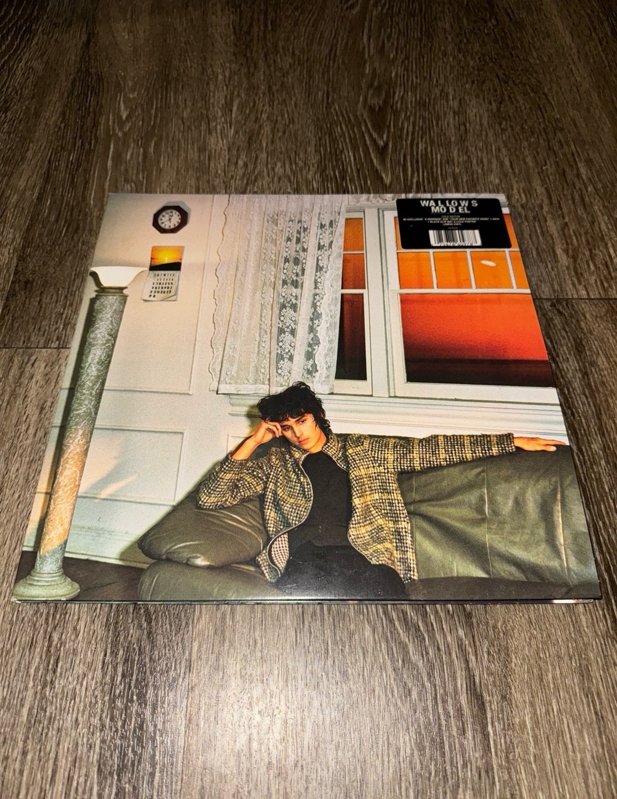 wallows model vinyl cole edition