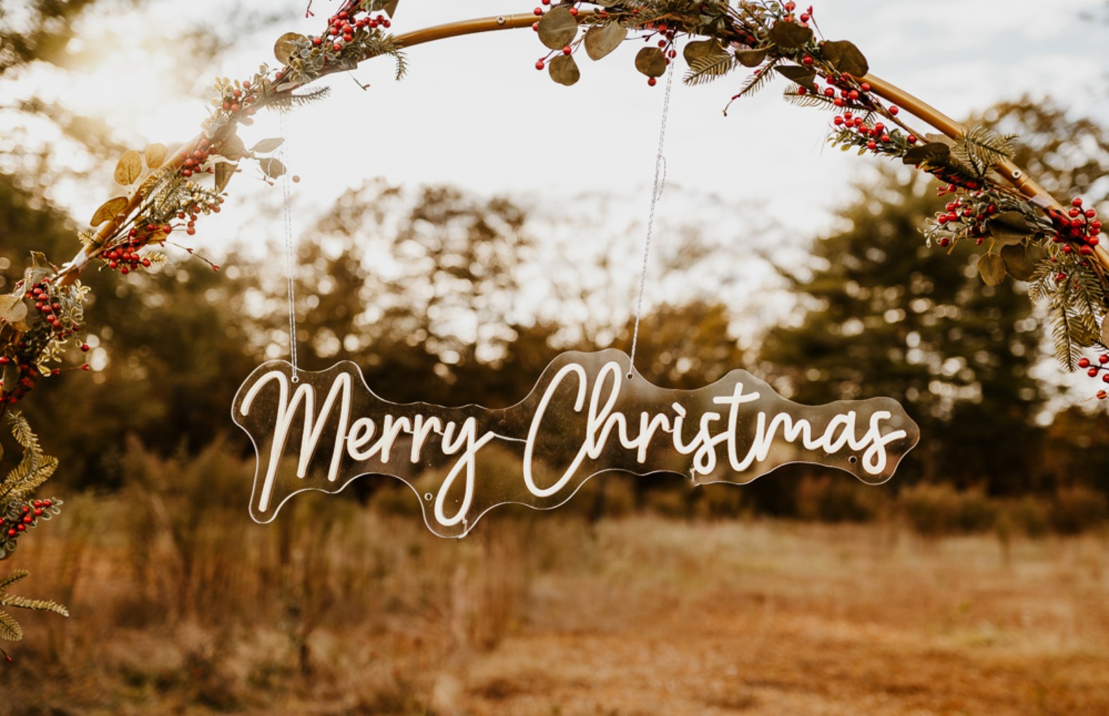 Neon Christmas sign