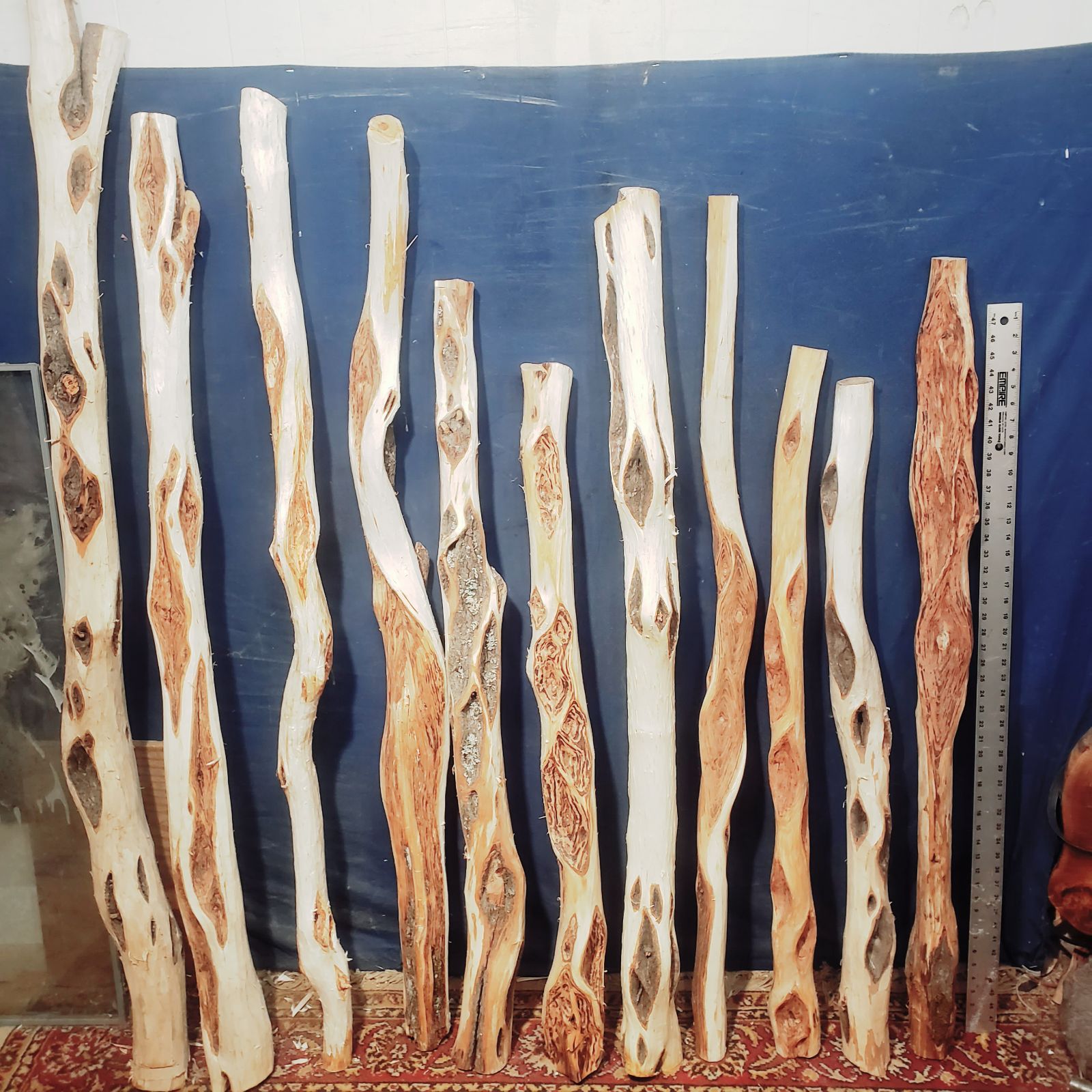 Large diamond willow logs