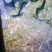 Morgan Silver Dollar 1881 p