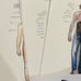 Human Body Unit Study - Homeschool