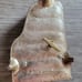 Vintage Sankyo Piano Music Box