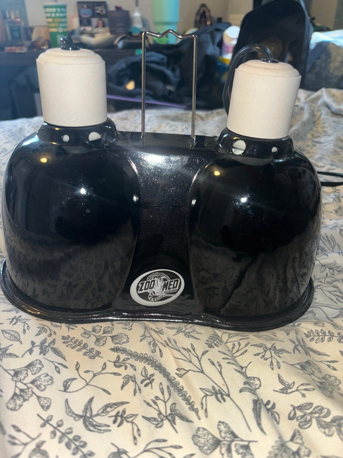 reptile supplies