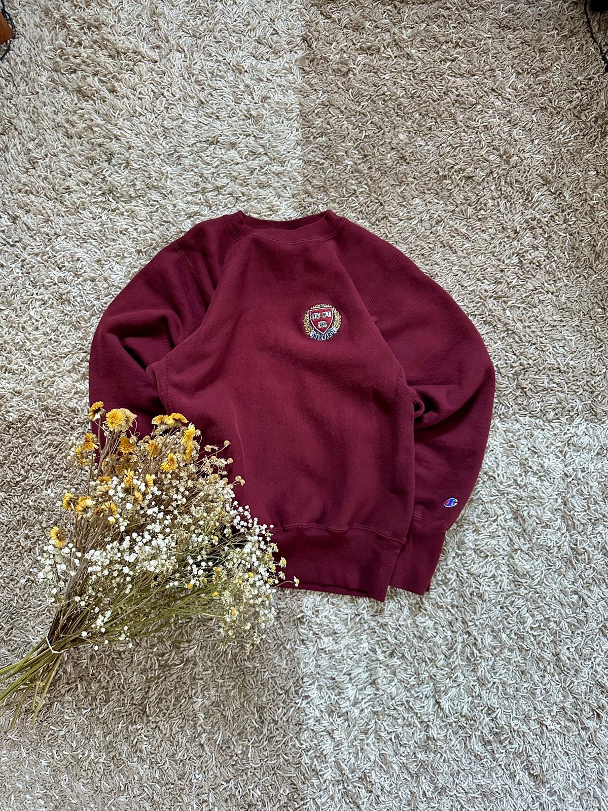 80s 90s Rare Vintage Harvard College Champion Sweatshirt Logo University Men’s S