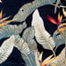 Hawaiian Shirt