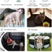 Dog Playpen, Puppy Pet Playpen Indoor for Medium Dogs, Dog Tent Crates Cage