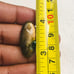 Labradorite Oval Shape Cabochon- LBDL-25-10