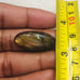 Labradorite Oval Shape Cabochon- LBDL-25-10