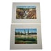 Haynes Yellowstone National Park Red Portfolio Set of 12 Color Prints Vintage