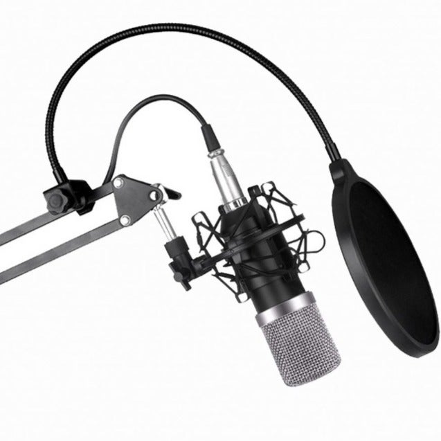 Professional Studio Recording Microphone