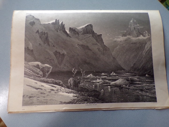 ICEBERG LAKE ISTERDAL Antique Art Print Norway Deer E.P. Brandard 1970