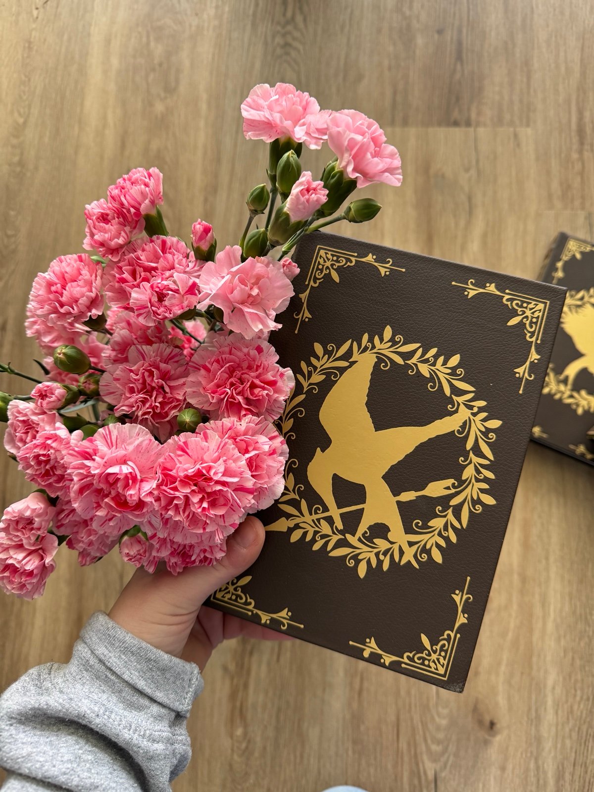 Hunger Games Trilogy HARDCOVER LEATHER REBOUND