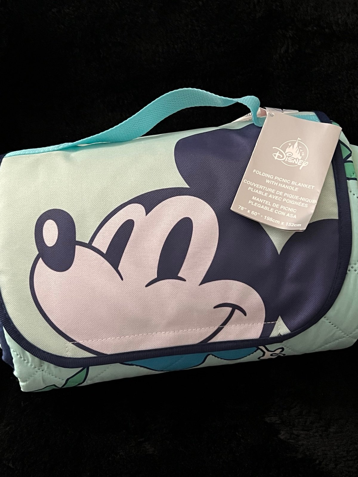 Disney picnic blanket nwt
