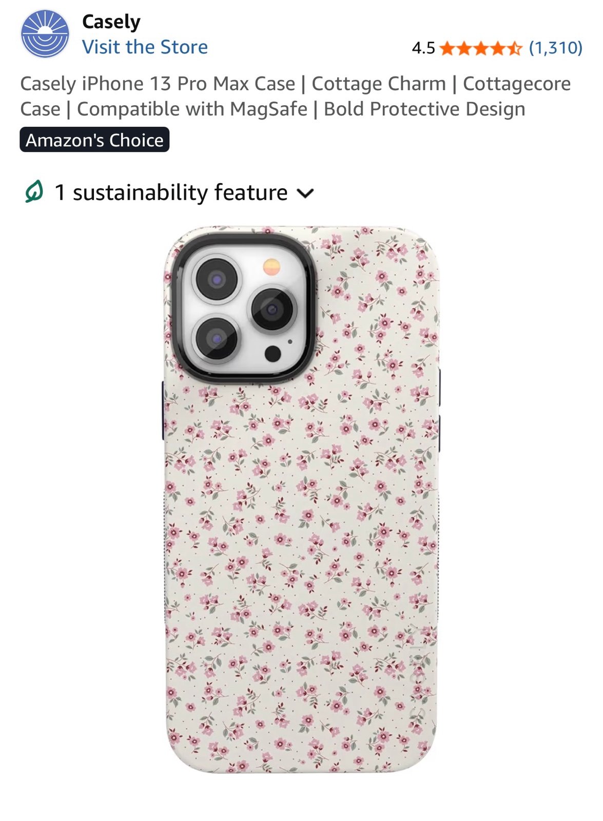 iPhone 13 Pro Max Case and screen protector