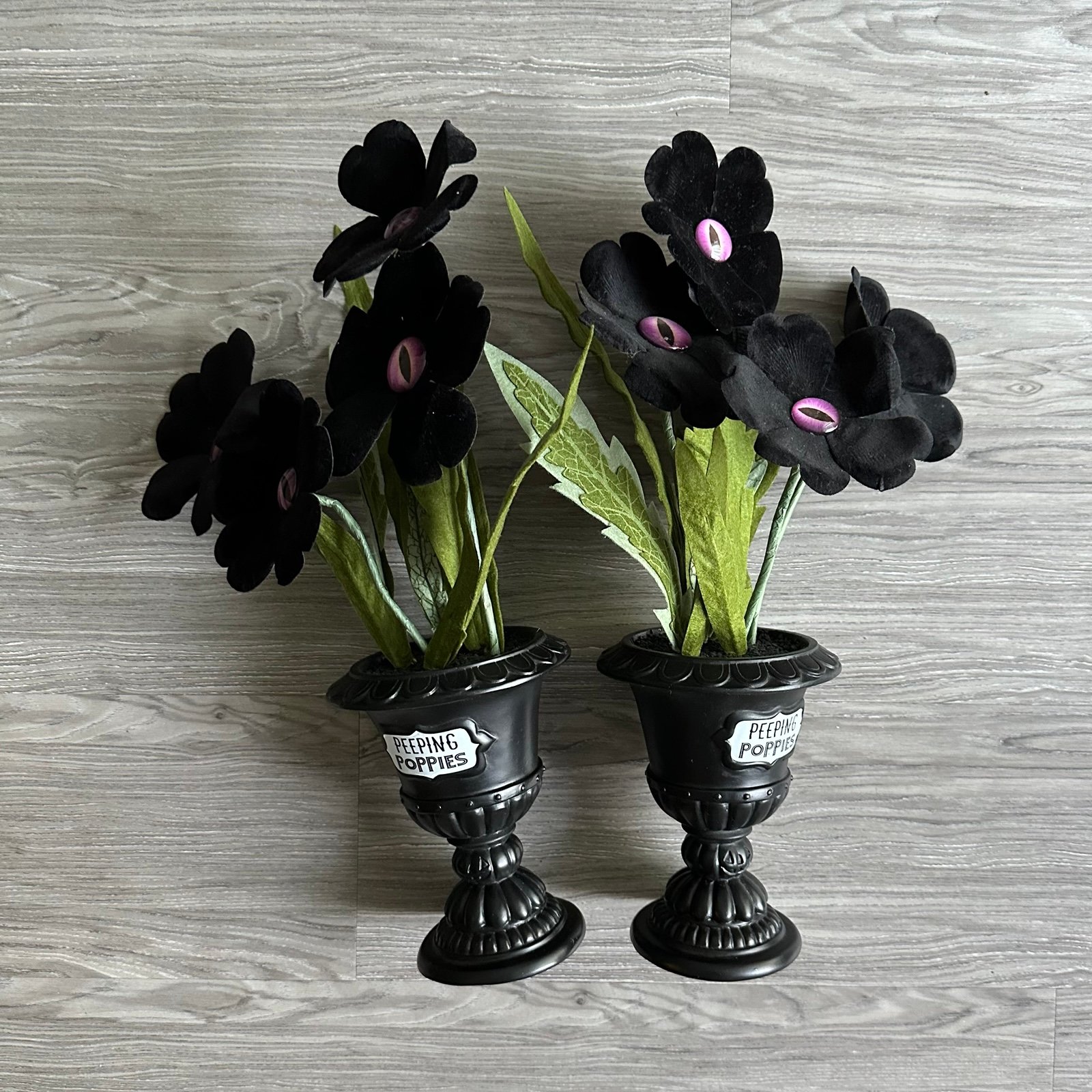 Target Hyde and Eek Faux Peeping Poppies Plants