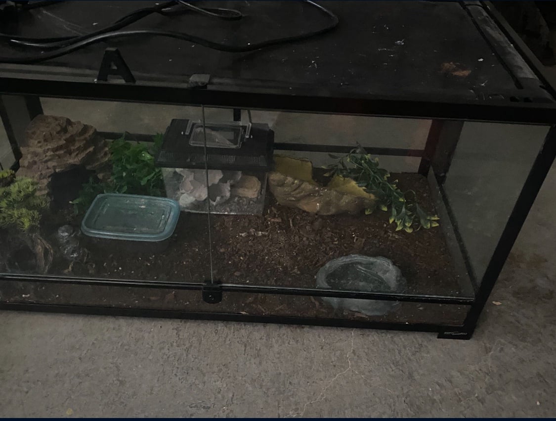 40 gallon reptile tank