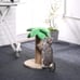 Cat Scratching Post Tree Toys Tower Litter Box Bed House Kitten Condo Perch Indo