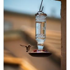 Perky-Pet Antique Glass Bottle Hummingbird Feeder Outdoor Garden Decor