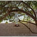 Perky-Pet Antique Glass Bottle Hummingbird Feeder Outdoor Garden Decor
