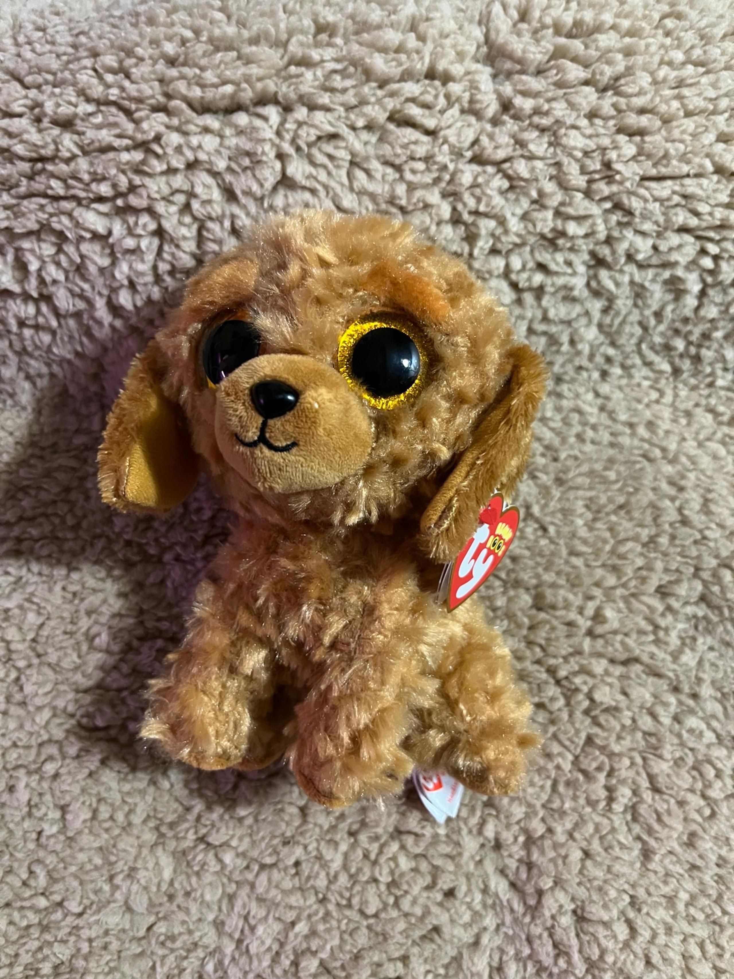 The Beanie boo’s collection/ TY Beanie babies