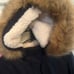 Levi Sherpa Faux Fur Coat/Jacket