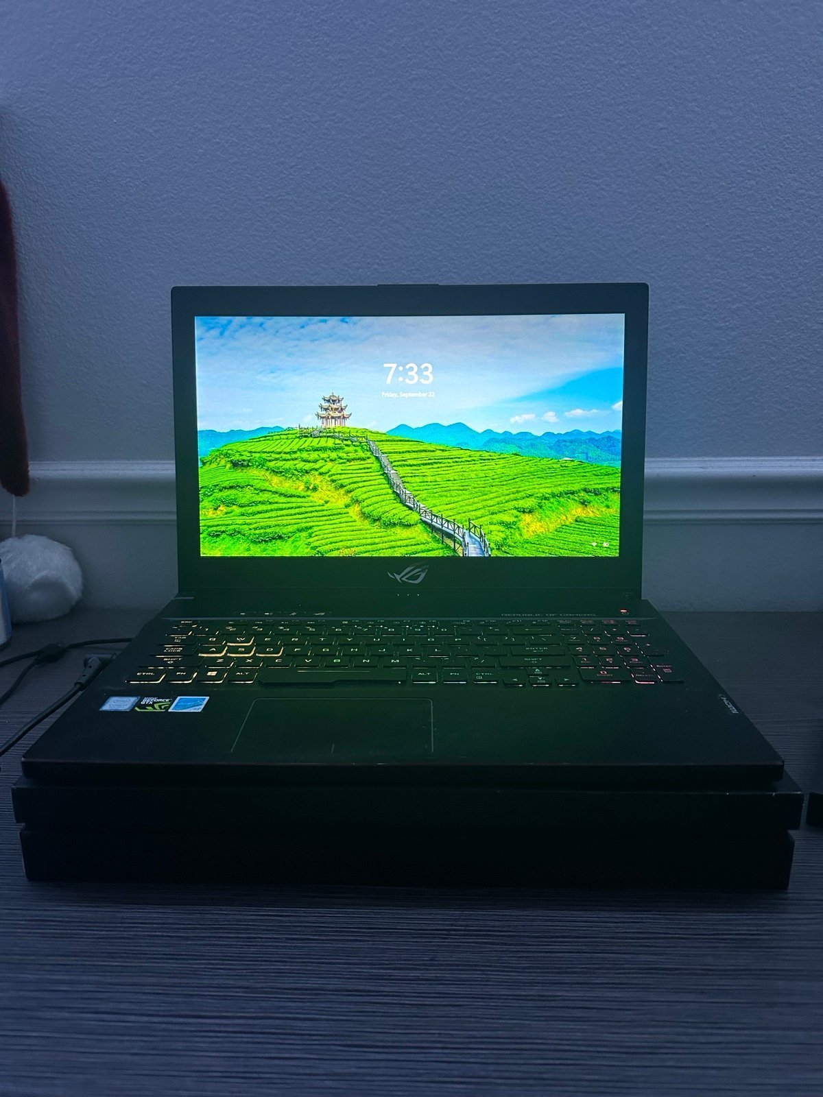 ASUS - ROG GU501GM gaming laptop