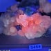 RARE NATURAL BIG HALF PINK CALCITE HALF FLOURITE WITH SPHALERITE CLUSTER #3454
