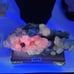 RARE NATURAL BIG HALF PINK CALCITE HALF FLOURITE WITH SPHALERITE CLUSTER #3454