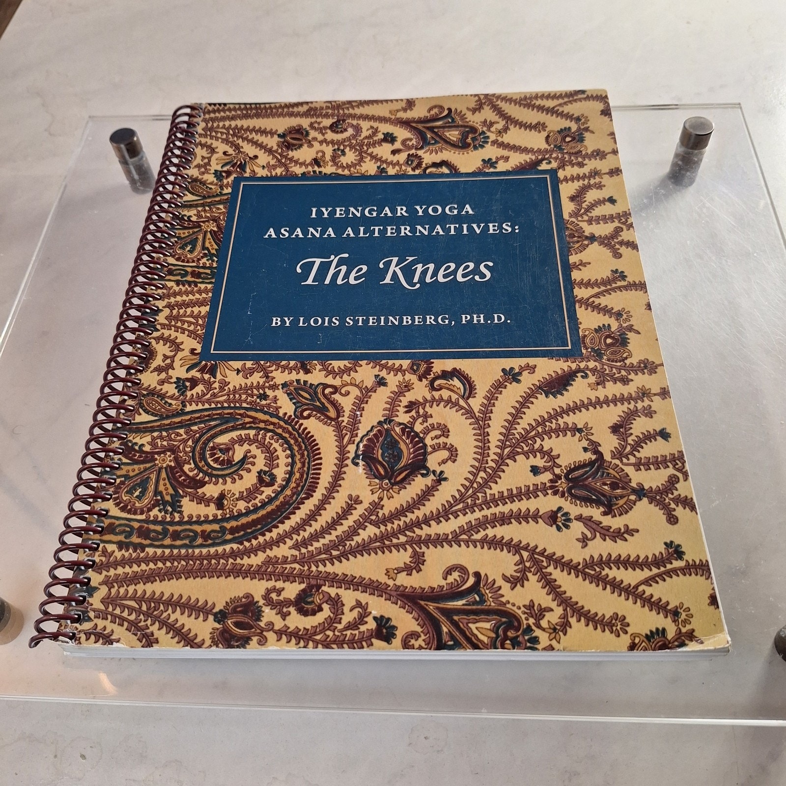 Iyengar Yoga Asana Alternatives The Knees by Lois Steinberg