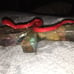 Ankh Orgonite Chakra DNA EMF Healing