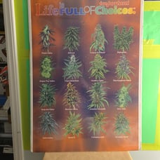 Life is full of important choices Poster