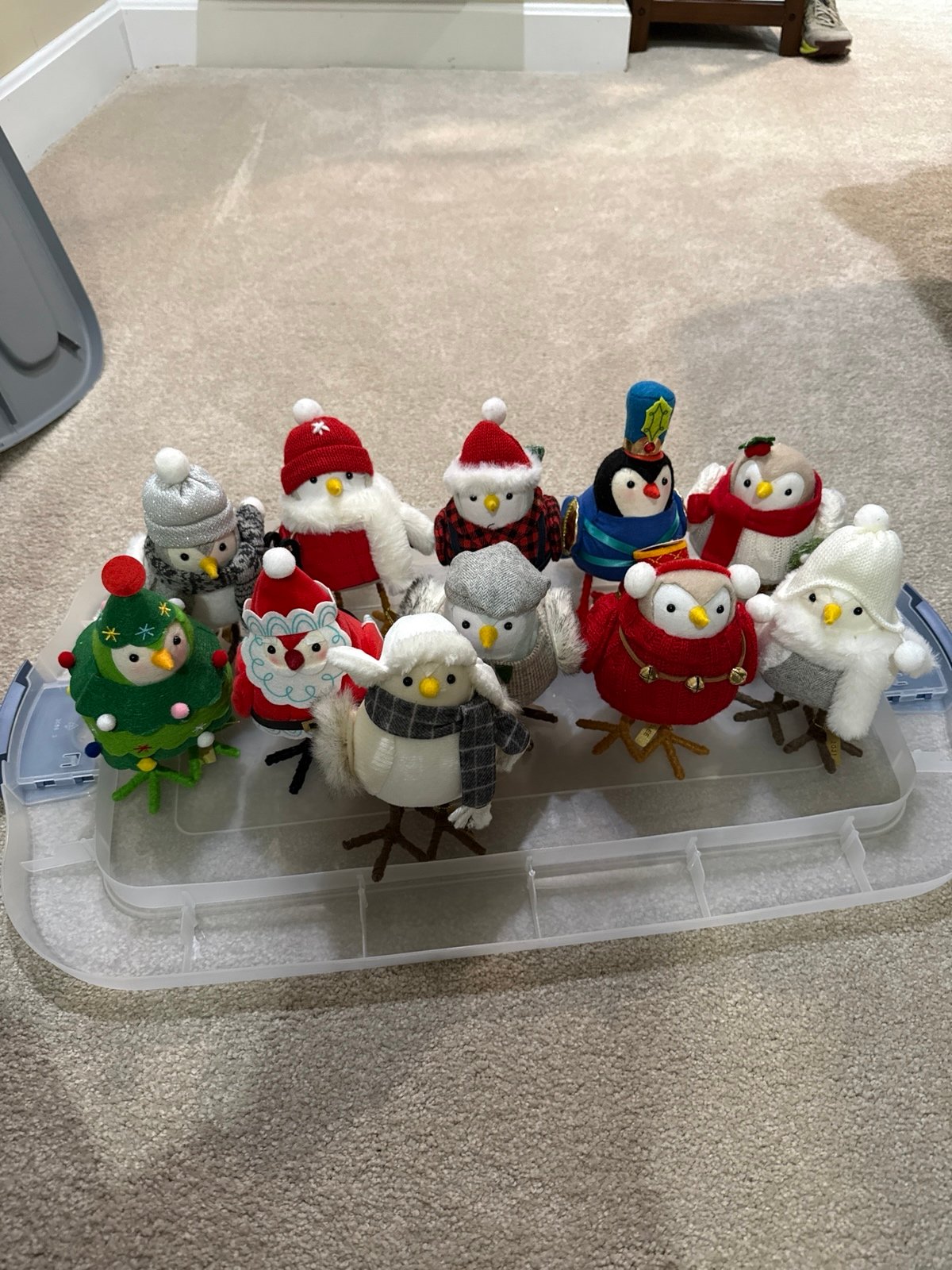 2021 Christmas Birds.
