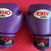 Set of Yokkao Matrix 16 ounce and 12 ounce Muay Thai boxing gloves
