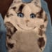 Brand New Kitty Mittens