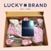 Lucky Brand Vintage Retro Pastel Pink Roller Skates (W-11)