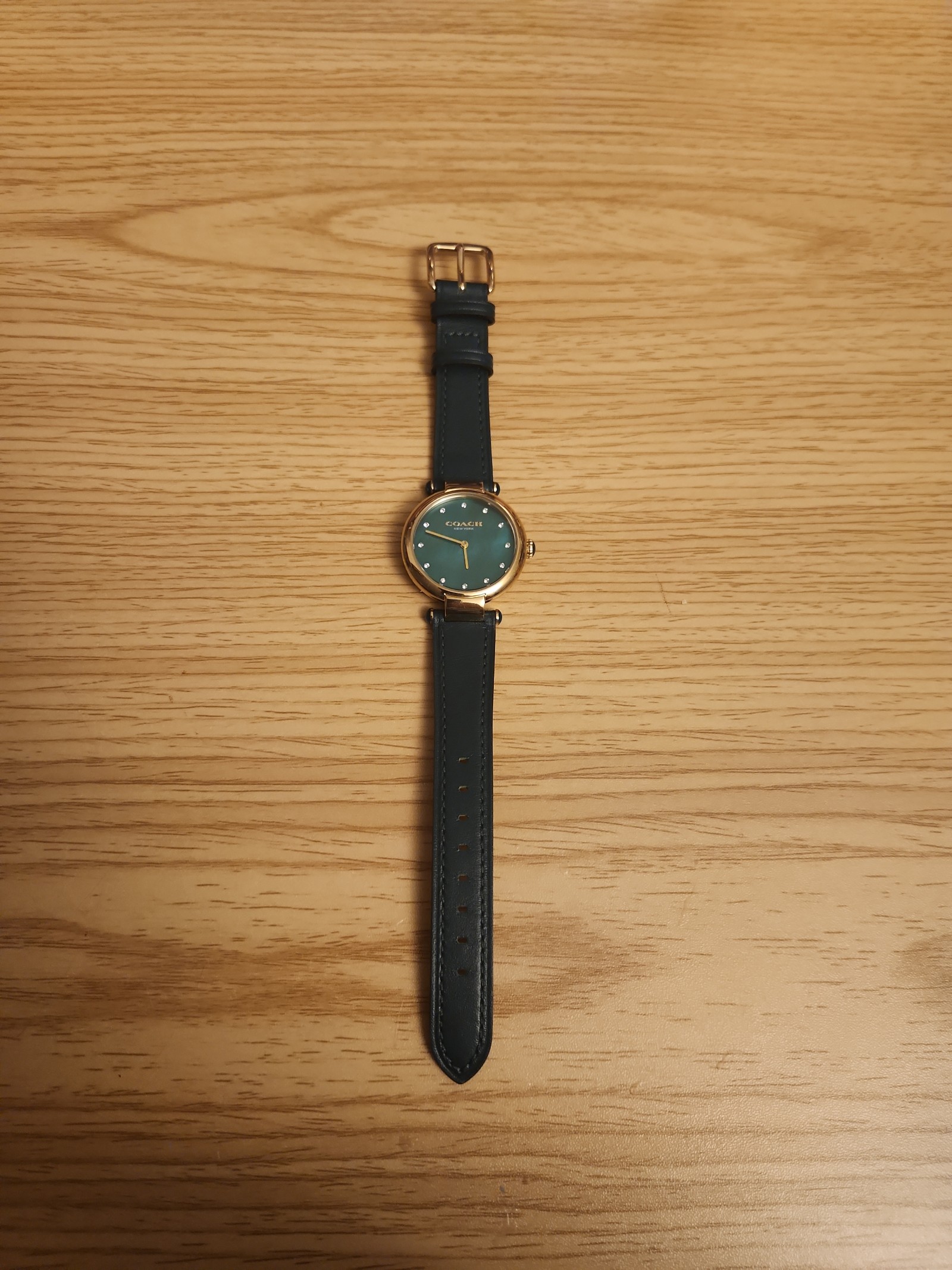 Coach Cary Green Dial and Leather Strap Women Watch 14503962