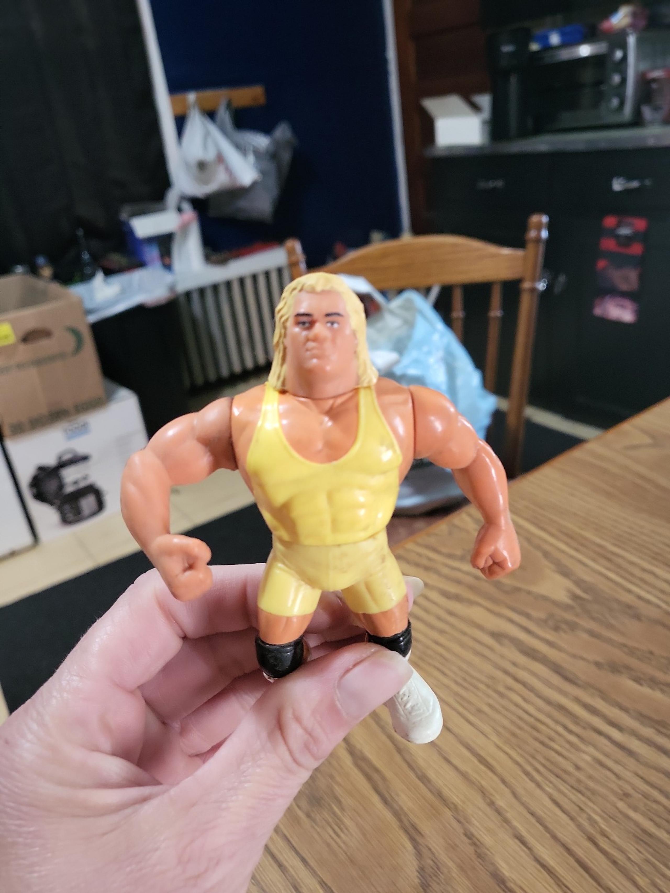 WWF Hasbro