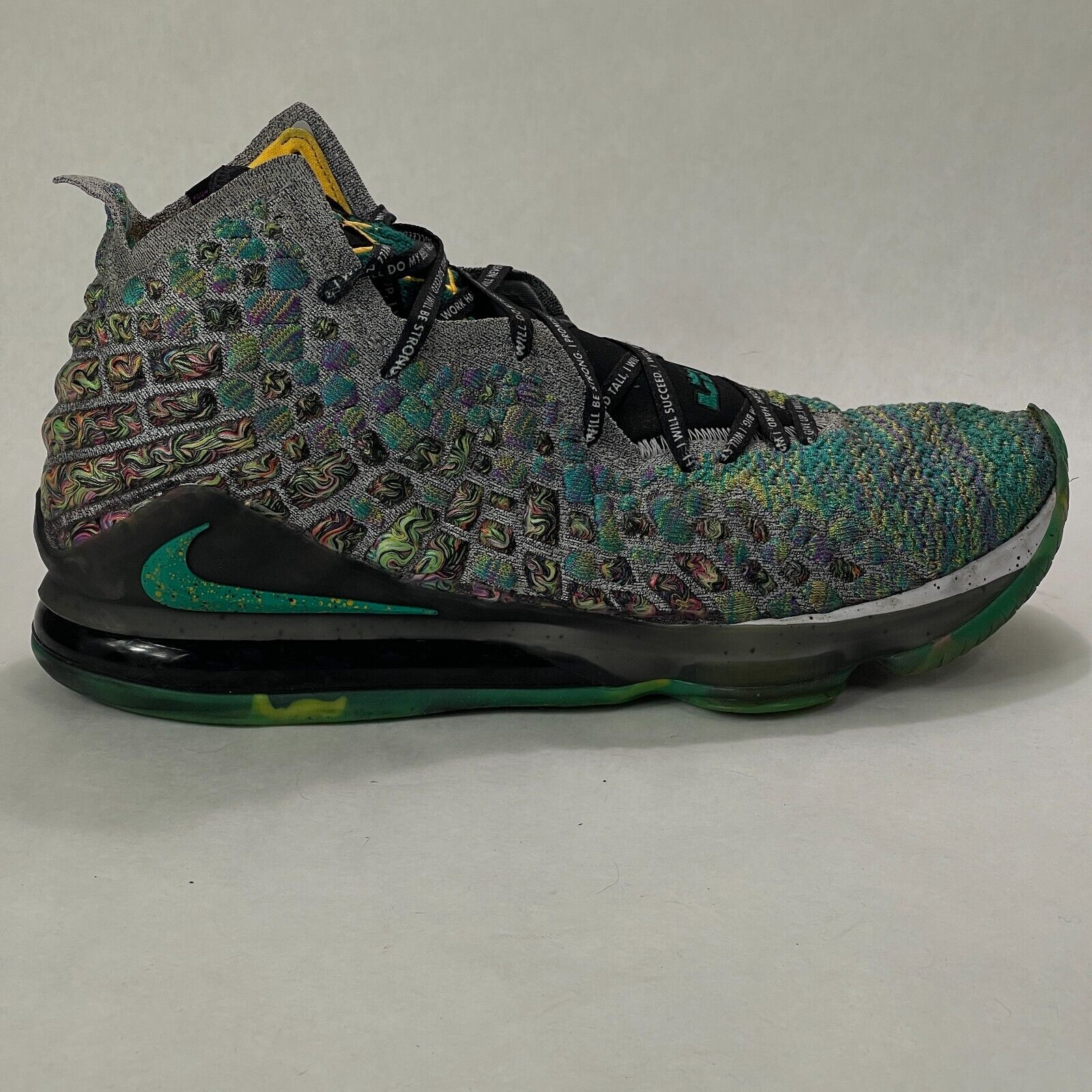 Nike Lebron Shoes Mens Size 18 XVII LJFF 17 I Promise Basketball CD5052-300