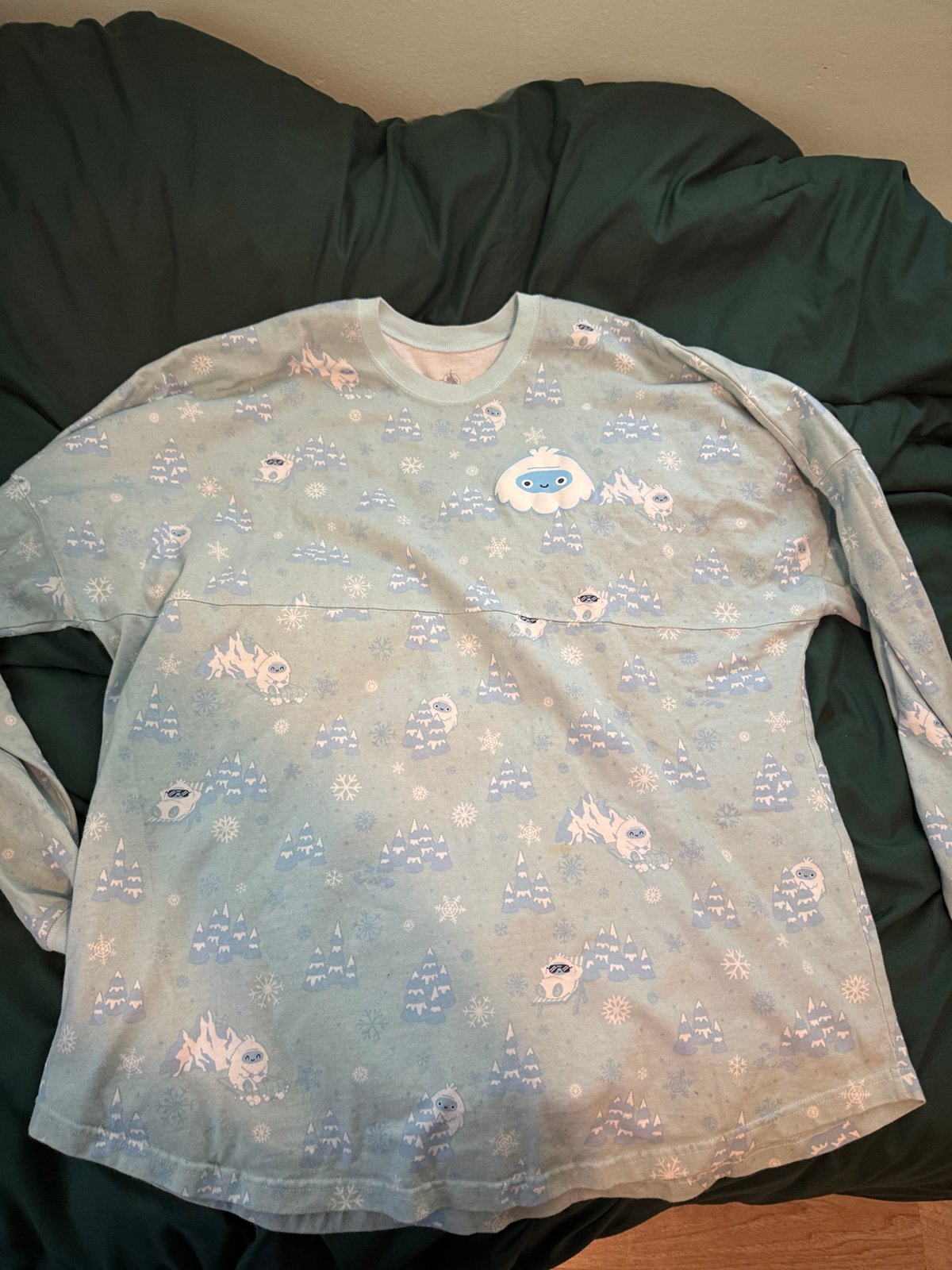 Disney Spirit Jersey