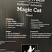Magic Cat Halloween 10 Ft Inflatable. Lights Up. Airblown Inflatable.