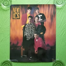 NKOTB New Kids On The Block Laminated Poster 20 X16 1990 FLAMES FUNKY Not Vinyl