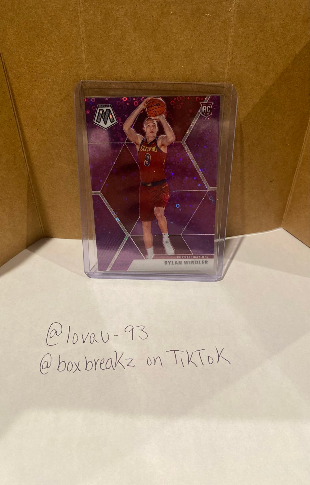 19-20 Dylan Windler Pink Mosaic Basketball #/50